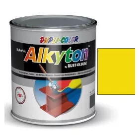   Alkyton fedő és alapozó festék RAL 1021 repcesárga - 5 l