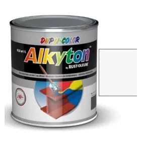   Alkyton fedő és alapozó festék RAL 9003 rikító fehér - 5 l