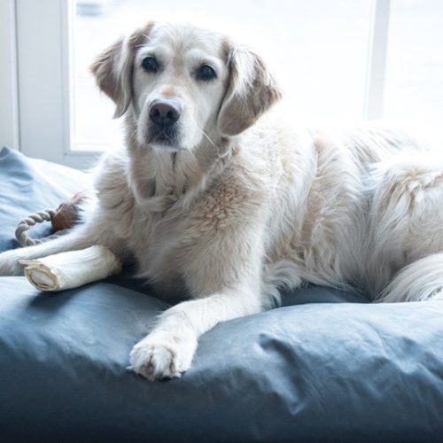 HG minden kellemetlen szagot eltávolít